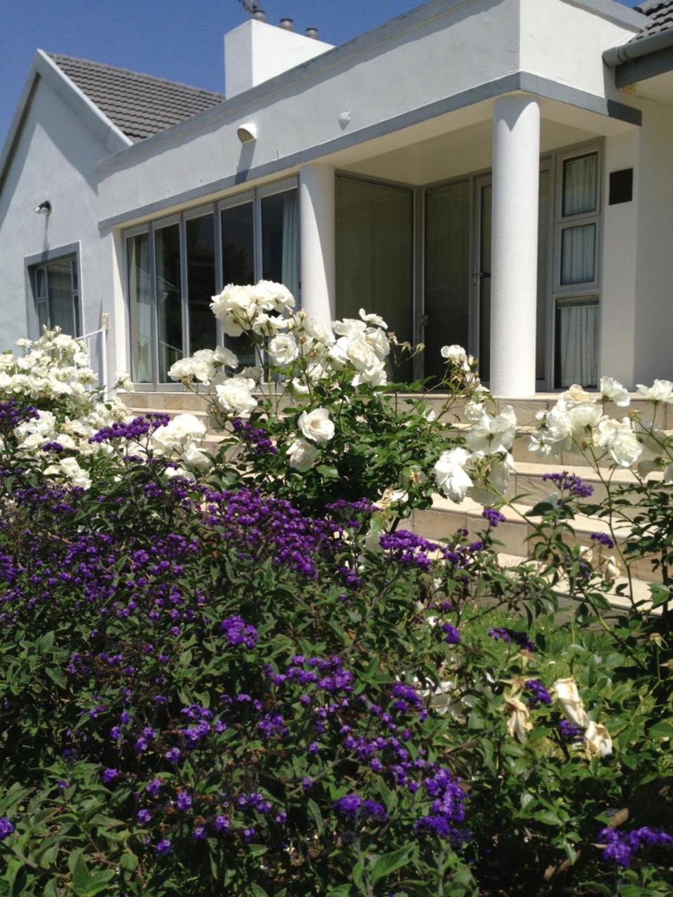 Alba House Guest House Paarl Ngoại thất bức ảnh